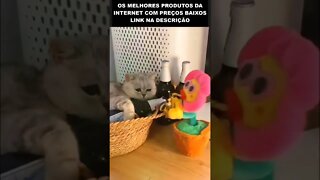 quando a gata te larga 🤣🤣🤣