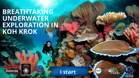 🤿 Breathtaking Underwater Exploration in Koh Krok: Meet the Turtles, Corals and Fish of Pattaya