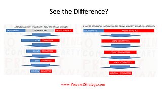 Precinct Strategy Your "Why and How" Guide for Local Political ACTION. Dan Schultz March 2 2023