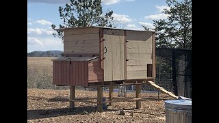 Homemade pallet chicken coop