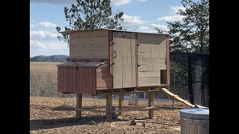 Homemade pallet chicken coop