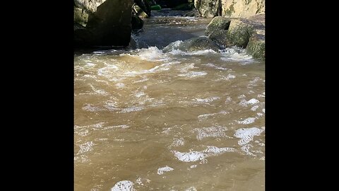 Richland Creek, Asheboro NC