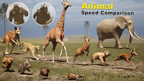 Speed Showdown: The Fastest Animals on Land