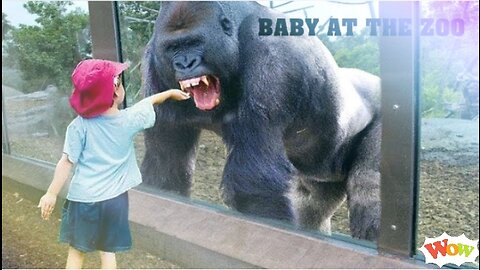 Baby funny video | best funny video. Monke