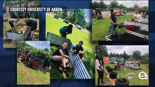 University of Akron grows garden to help students who need food