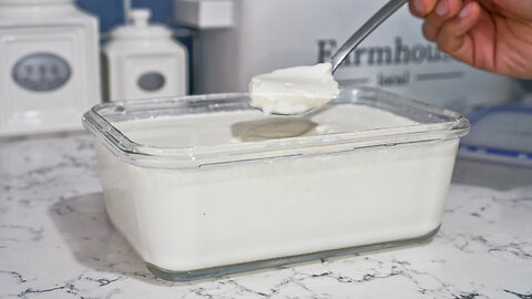 Make Yogurt at Home with just 2 Ingredients!