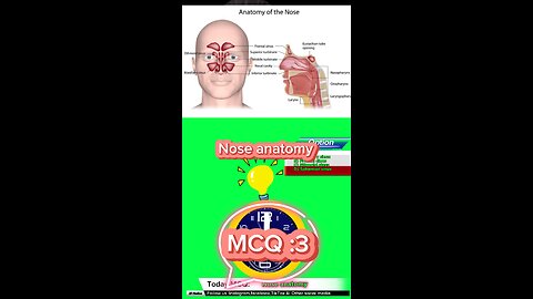 Nose mcqs #Qadisiyah #quiz #Arabic #MedicalQuiz #phramcology #nurses