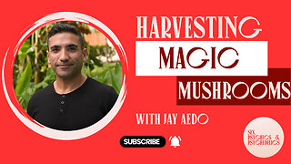 Harvesting Magic Mushroom with Jay Aedo