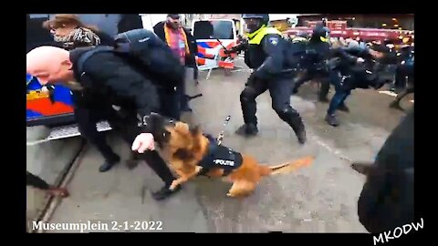 Politiehond bijt man en laat niet los / Museumplein Amsterdam 2-1-2022