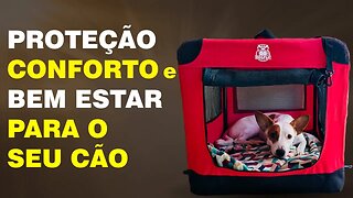 Surpreenda-se com 5 Benefícios da Caixa de Transporte para seu Cachorro