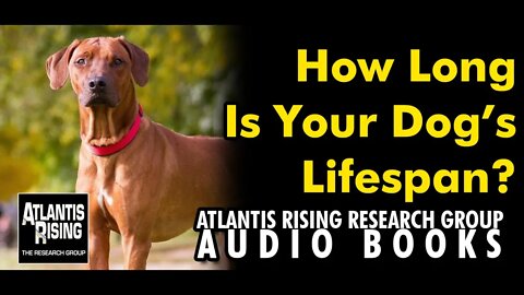 How Long Is Your Dog’s Lifespan? Atlantis Rising Research Group News Blog
