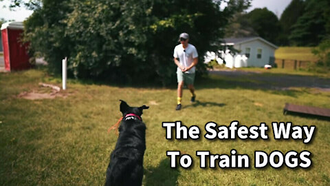 How To Train Dogs Safetly Off Leash!