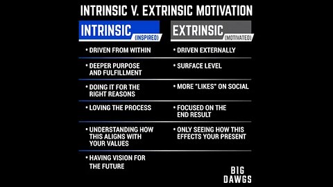 Intrinsic Vs Extrinsic Value, Why I Prefer To Chase Intrinsic Value In Terms Of Motivation