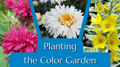 Planting the Color Garden