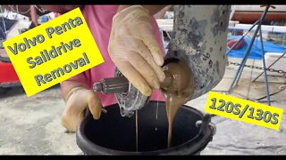 Ep. 35 - Saga of the Saildrive Part 1 (Volvo Penta 120S lower / 130S upper)