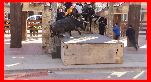 CAPARROSO ( NAVARRA ) MATINAL VACAS CALLE ( DOMINGO 22 ENERO 2023 ) BRETOS FERNANDEZ