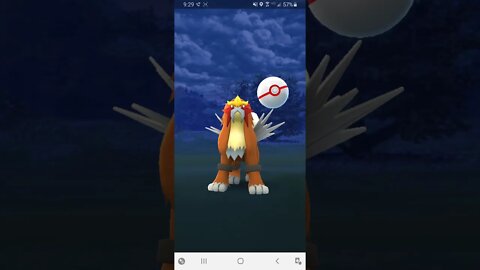 Pokemon Go Level 5 Legendary Raid Entei - Greenwich, New South Wales, Australia 1/26/2021