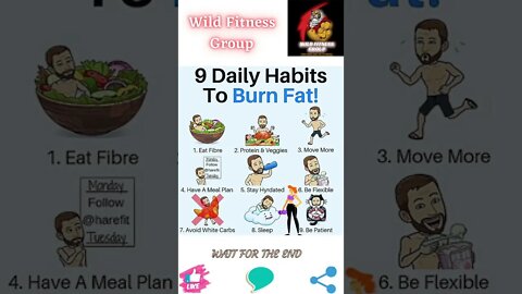 🔥9 daily habits to burn fat🔥#shorts🔥#wildfitnessgroup🔥22 August 2022🔥