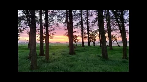 Camping at Brecon Beacon