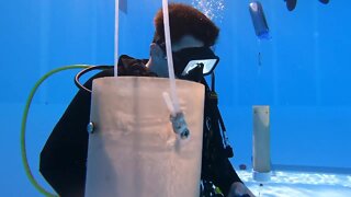 Scientific dive team testing ways to fight red tide