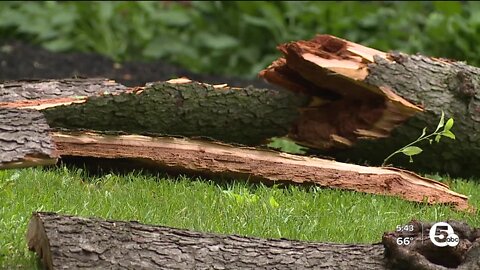 Hudson cleans up fallen trees, downed power lines following severe storms