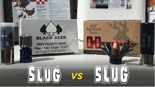 Who Has The Best Slug, Hornady or Black Aces?