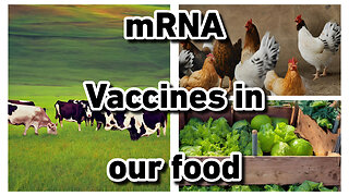 mRNA Vaccines in our food