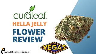 Curaleaf Hella Jelly Flower Review - Chill as Hell
