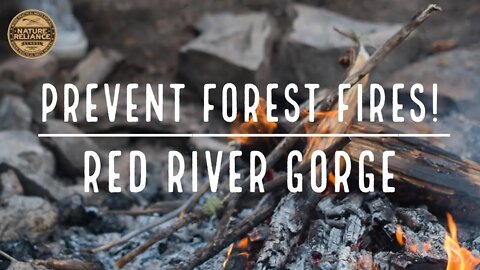 The RED RIVER GORGE is burning!