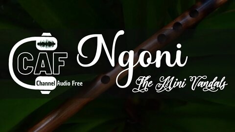 CAFree – Ngoni – The Mini Vandals
