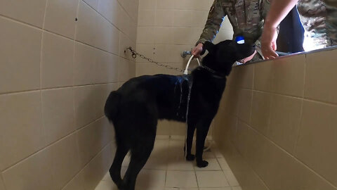 Unsung Titans: Military Working Dog Kennels