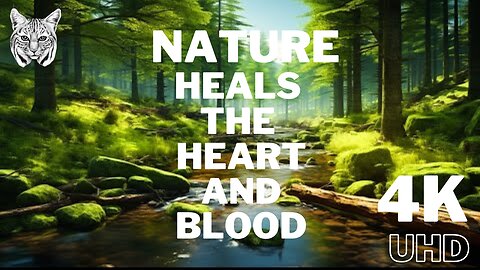 Nature Heals The Heart And Blood -4K HD