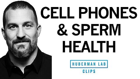 Cell Phones & EMFs Reduce Sperm Health & Testosterone - Dr. Andrew Huberman, April 21, 2023