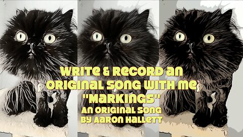 Write & Record an Original Song With Me "Markings" an Original Song by Aaron Hallett