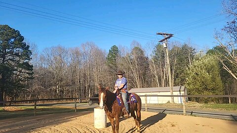 Cody....Shooting day 3 at the trot