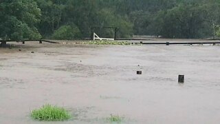 Flooded paddock. These fences were completely submerged. Cattle were washed over fences further down