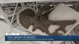 Library of Bones at Denver Museum of Nature and Science houses history