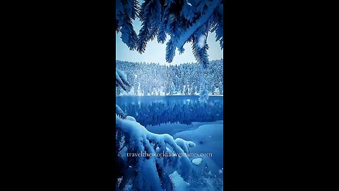 Snowfall #travel #viral #shorts