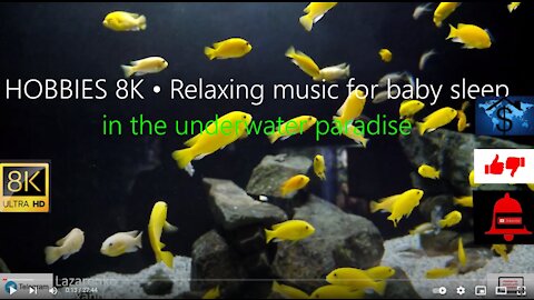 HOBBIES 8K • Relaxing music for baby sleep in the underwater paradise