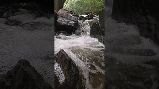 Nature's Serenade: Babbling Brook 🍃💧 - #Shorts #YouTubeShorts #NatureSounds