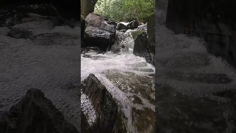 Nature's Serenade: Babbling Brook 🍃💧 - #Shorts #YouTubeShorts #NatureSounds