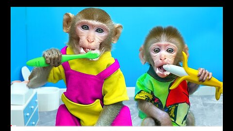 Baby monkey and Skibidi toilet, baby monkey is scared - Animal Cute