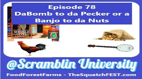 @Scramblin University - Episode 78 - Da Bomb to da Pecker OR a Banjo to da Nuts?