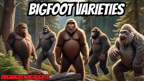 🌲👣 EnigmaCast Highlight: Exploring the 10 Bigfoot Classifications in North America & Canada 🌎