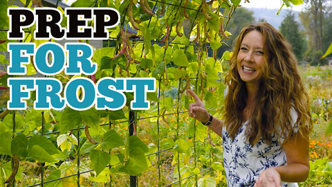 Preparing for the FIRST frost | Gardening in October