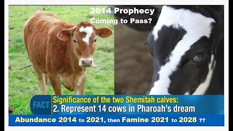 Famine & Judgment to Start in 2021? Prophecy from 2014 of "7" Calves - Jonathan Cahn [mirrored]