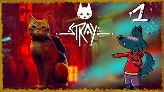 Stray Is An Amazingly Immersive Experience - Stray