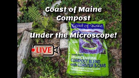 Cost of Maine Compost, Under the Microscope! "Best Compost"?!