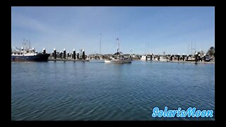 Crescent City California Harbor February 10th 2021/ Peaceful Ocean Harbor/ Calm/ Relaxing