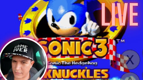 Sonic the hedgehog 3 & Knuckles